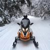 gjunebug58